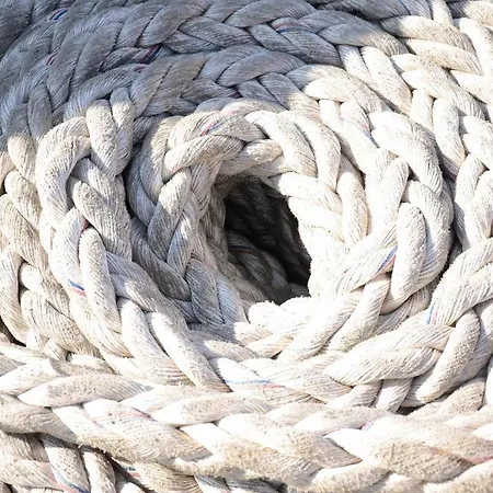 Zouzoubelle Coudekerque-Branche